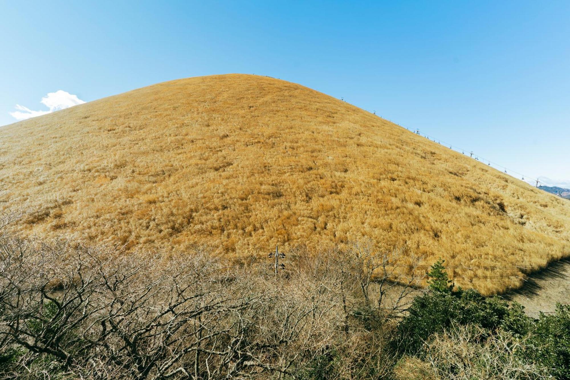 Villa スマートステイ大室山2合目 Futo Exterior foto